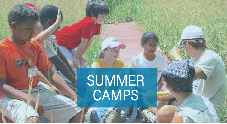 Kc Stem Alliance Summer Camps - 